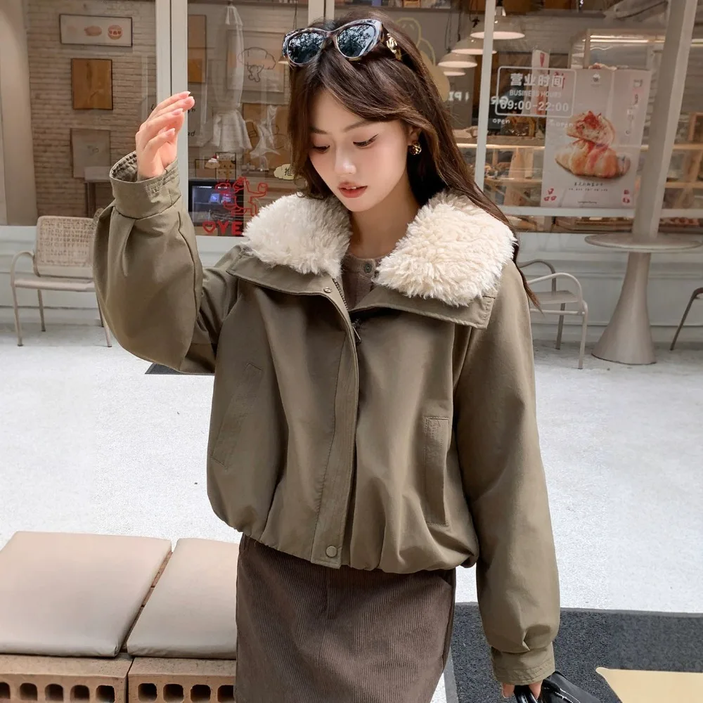 Imitation Lamb Wool Lapel Collar Short Tooling Fleece Thickened Pie Overcome Coating Women's Winter Small Jacket Texture Unique