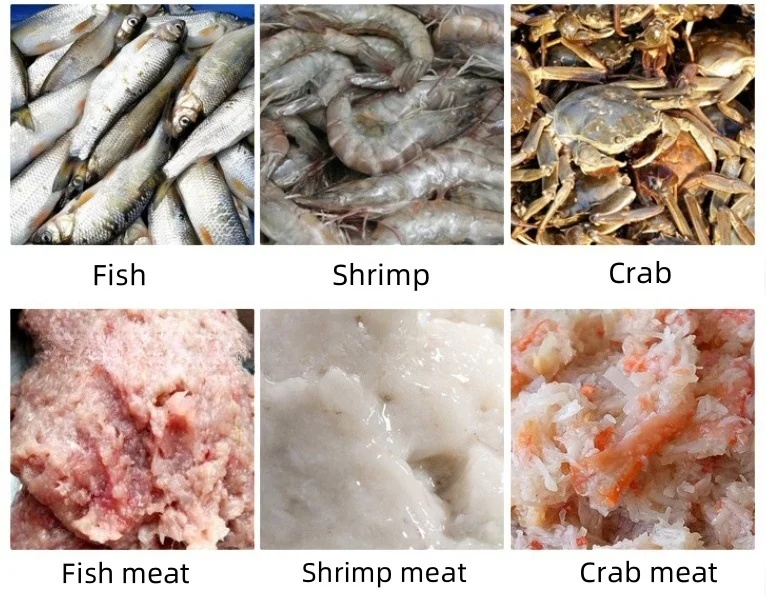 Shrimp Peeler Deveiner Shell Processing Machine Mechanical Deboning Fish Meat Machine Shrimp Collecting Machine