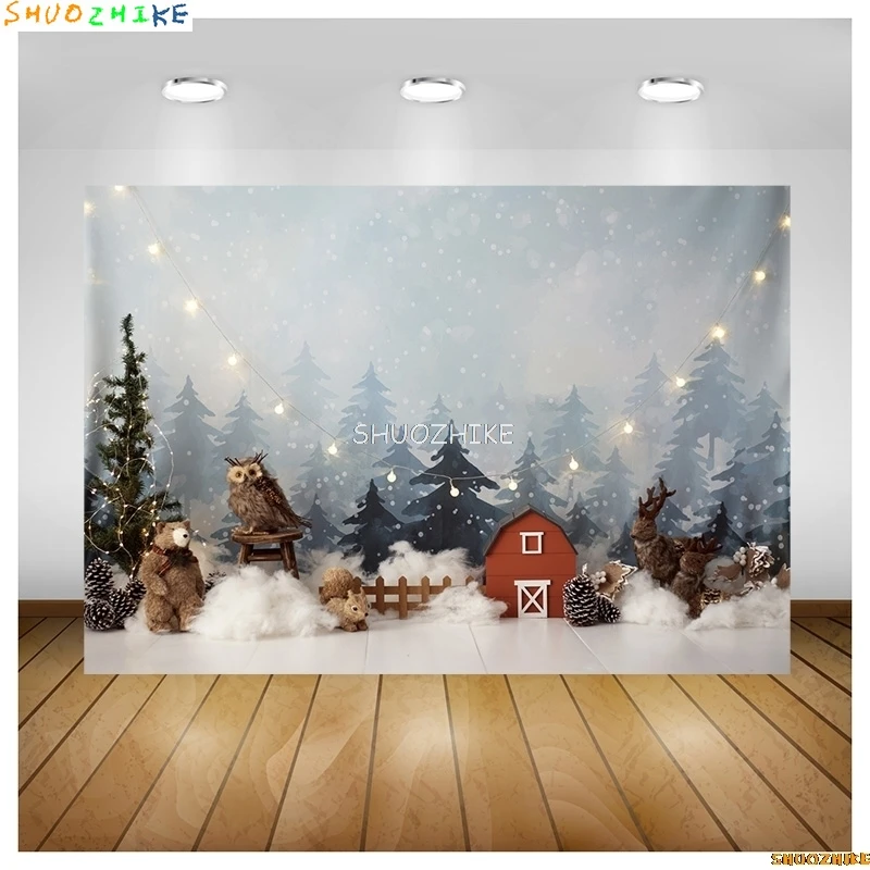 شجرة عيد الميلاد يعرض زهرة إكليل التصوير الخلفيات نافذة باب المنزل الوردي الذكرى السنة الجديدة صورة خلفية DRG-01