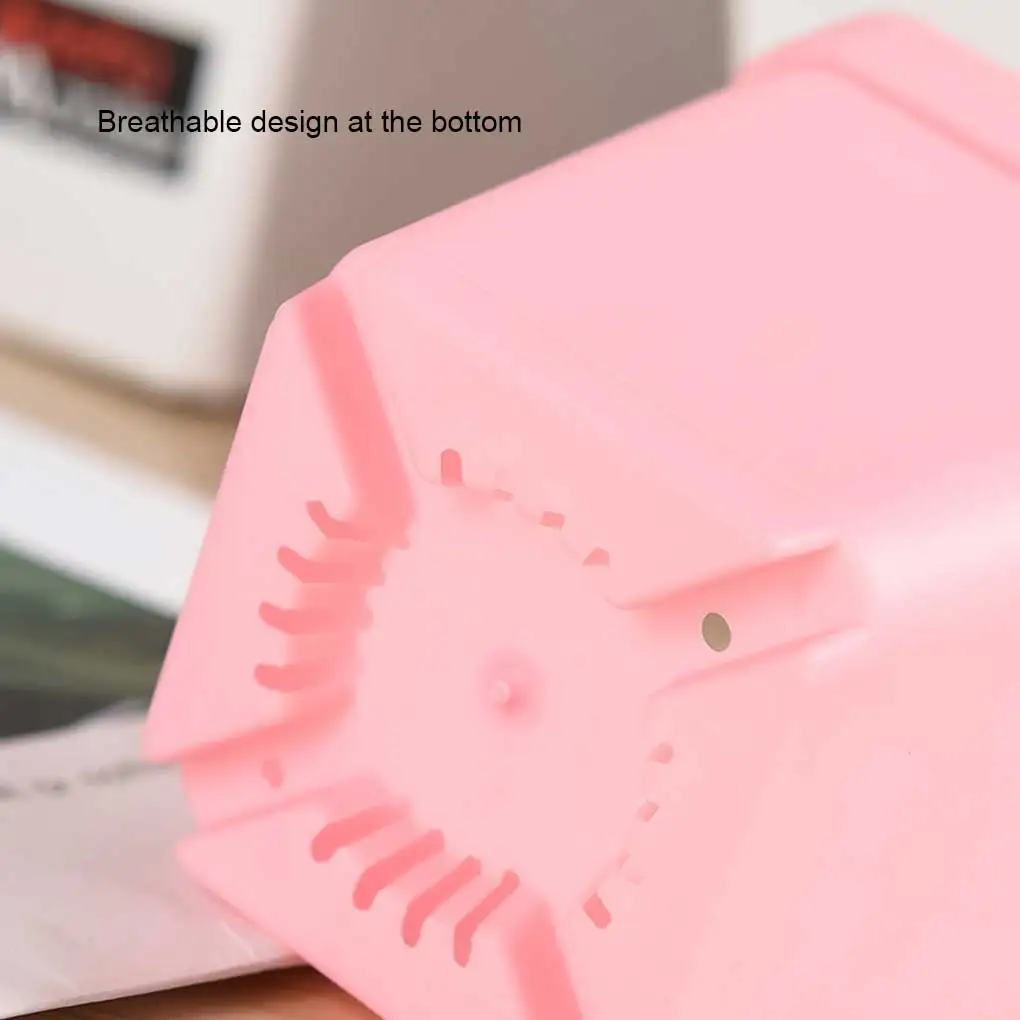 Portátil lavável Seedling Container, Flower Pot, Acessórios, 5 pcs