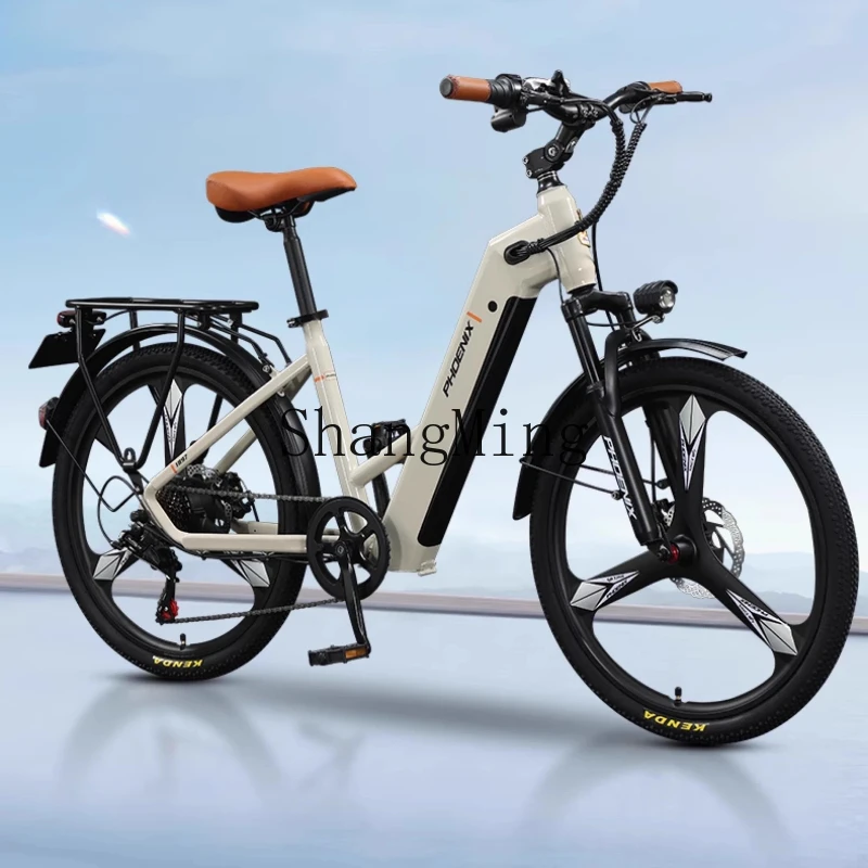 

LXY electric bicycle light commuting new national standard lithium battery power battery bicycle