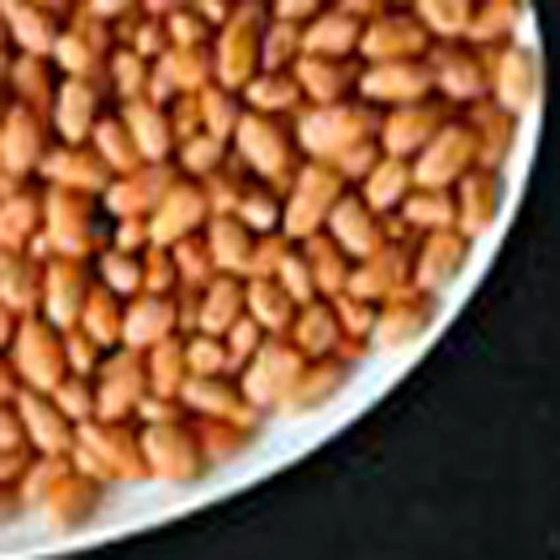 

Commercial Peanuts Butter Almond Walnut Nuts Cream Paste Sauce Maker Miller Oily Seeds Grinder Grinding Machine