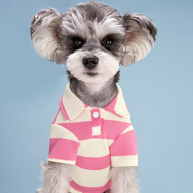 Hundepolohemd, Hundekleidung, Sommer-Freizeitkleidung für kleine und große Hunde, Katzen-T-Shirt, Chihuahua-Mops-Kostüme, Yorkshire-Hemden – Detail 9