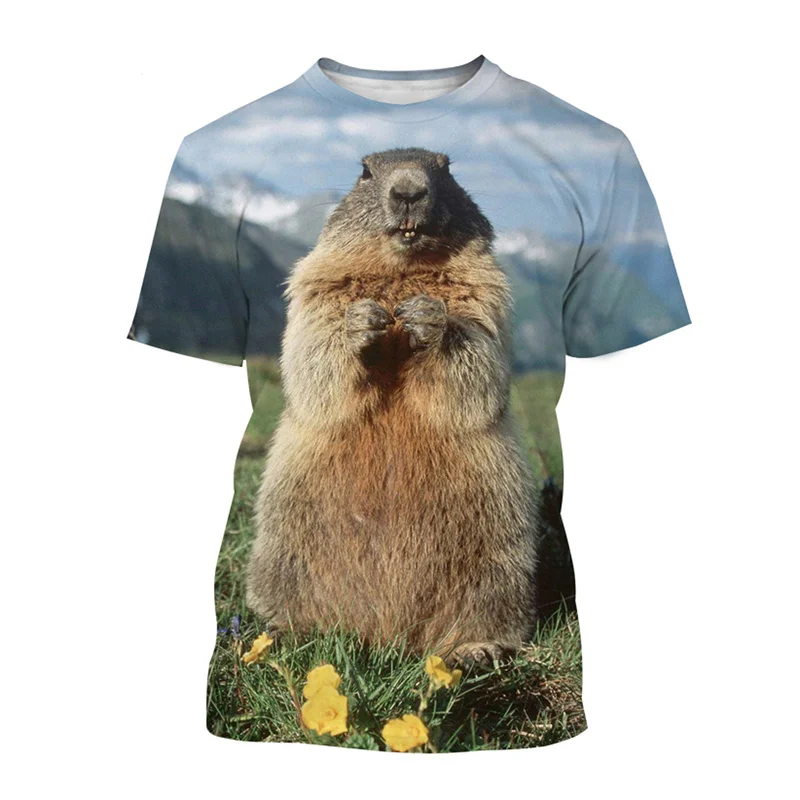 

Cute Groundhog 3D Printed T-shirt Men Animal Graphic Tee Summer Short Sleeve Streetwear Mens Fashion Casual Oversized Tops