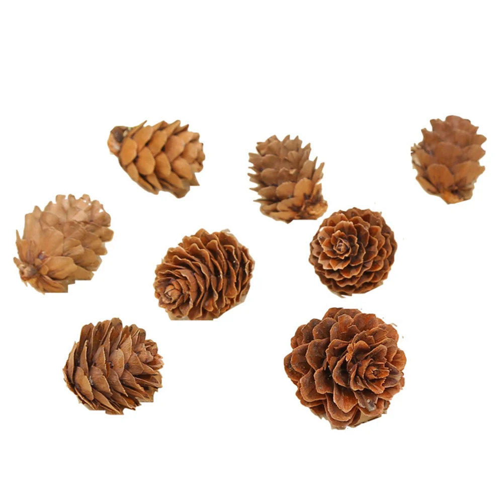 210 Pcs Mini Christmas Decorations Vase Bowl Filler Pine Cones Ornaments Natural