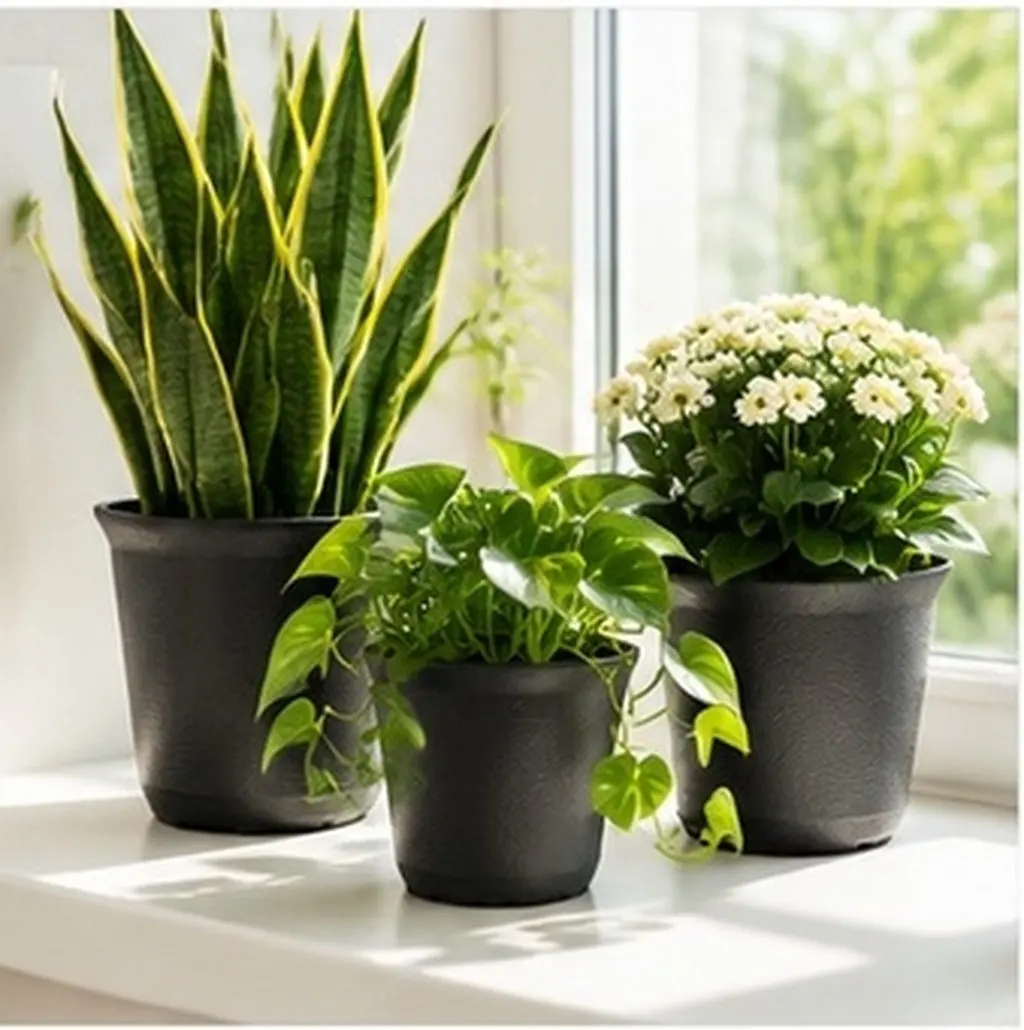 12Pcs Premium Plastic Succulent Pots Small Size Flower Pots for Windowsill Bedroom Living Room Kitchen Office Desktop Nursery