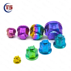 TS Titanium Nut M6/M8/M10/M12/M14/M16/M24 Torx Flange Hexagon Nuts for Motorcycle Rear Axle 1pcs