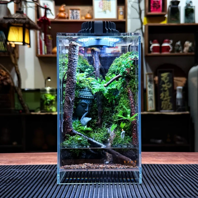 Smart rainforest tank, moss ecological micro-landscape, tabletop ornament