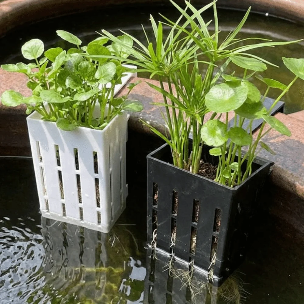 Wall-Mounted Aquarium Plant Basket Plastic Water Culture Planter Aquatic Plant Holder Planter Containers Self Watering