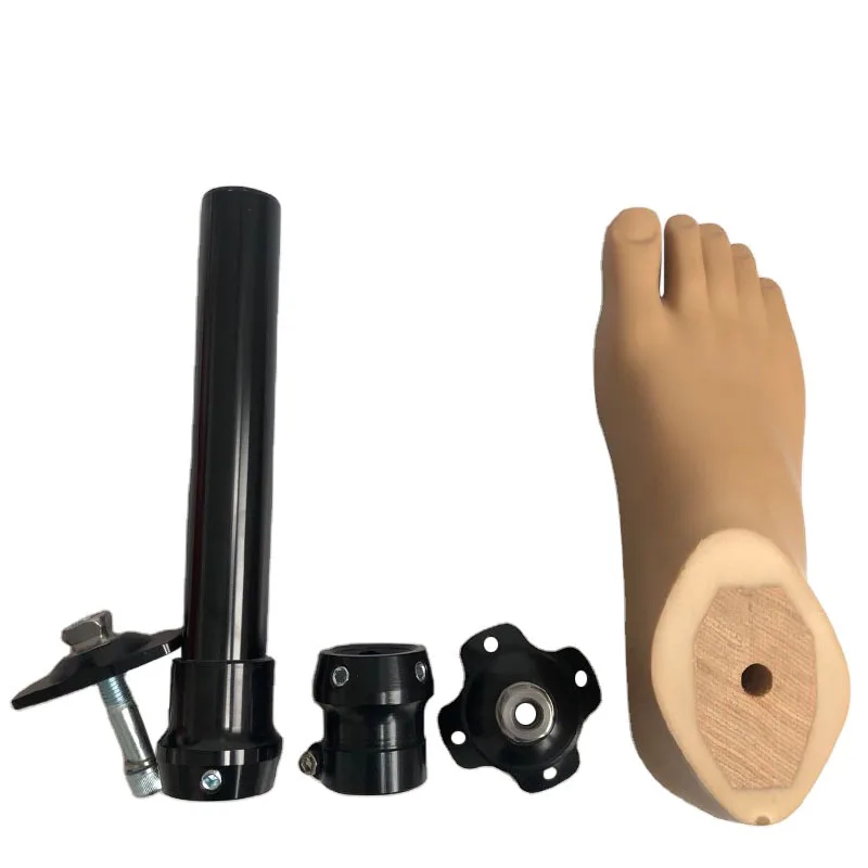 Hot Sale China Manufacturer Artificial Limbs Prosthetic Leg Below Limb