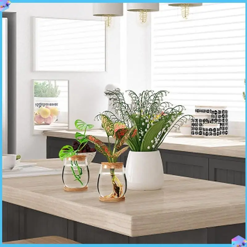 

A43T 4 PCS Mini Transparent Terrarium Glass As Shown Glass Garden Living Room Home Tabletop Decoration