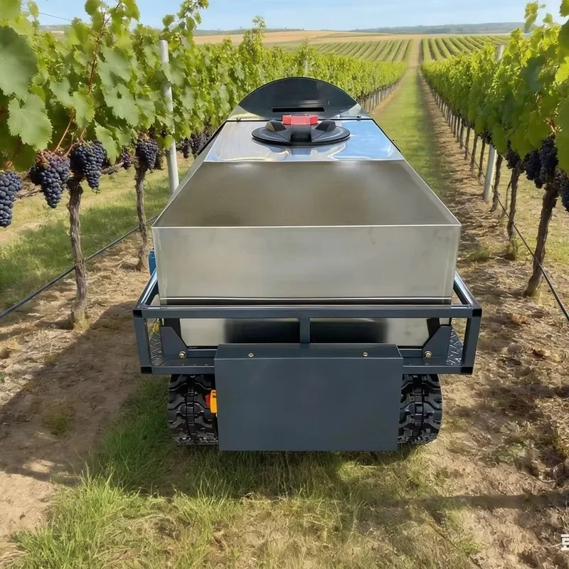 Engine Mountain Orchard Crawler Remote Control Sprayer Agricultural Farm Spraying Machine