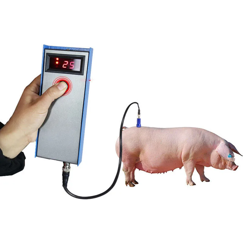 خصم جديد معدات كشف الدهون في الخنازير معيار حيوانات المزرعة كاشف دقيق معدات الزراعة أدوات الماشيةجديدة