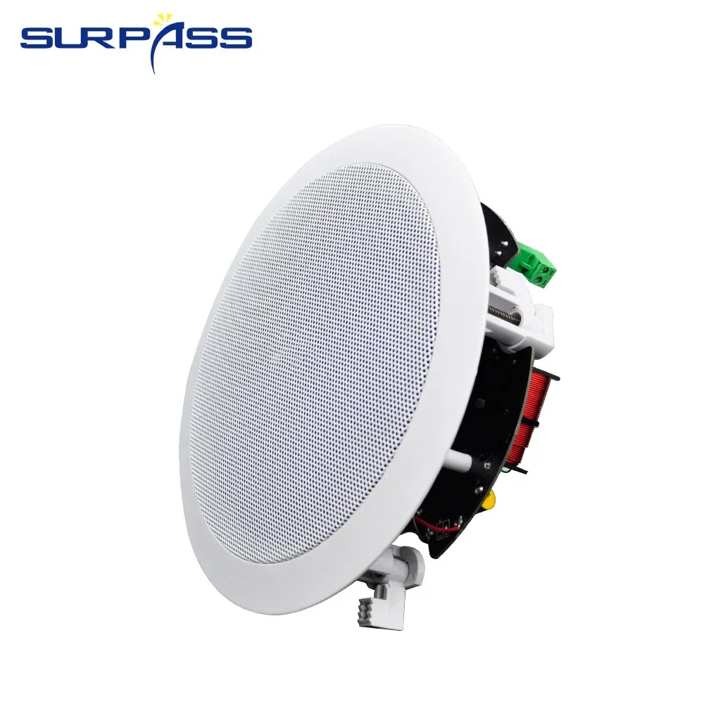 6 بوصة 30 واط 2 قطعة واي فاي بلوتوث نظام السقف المدمج في الفئة D مضخم رقمي نظام الصوت المنزلي لمكبرات الصوت المسرحية