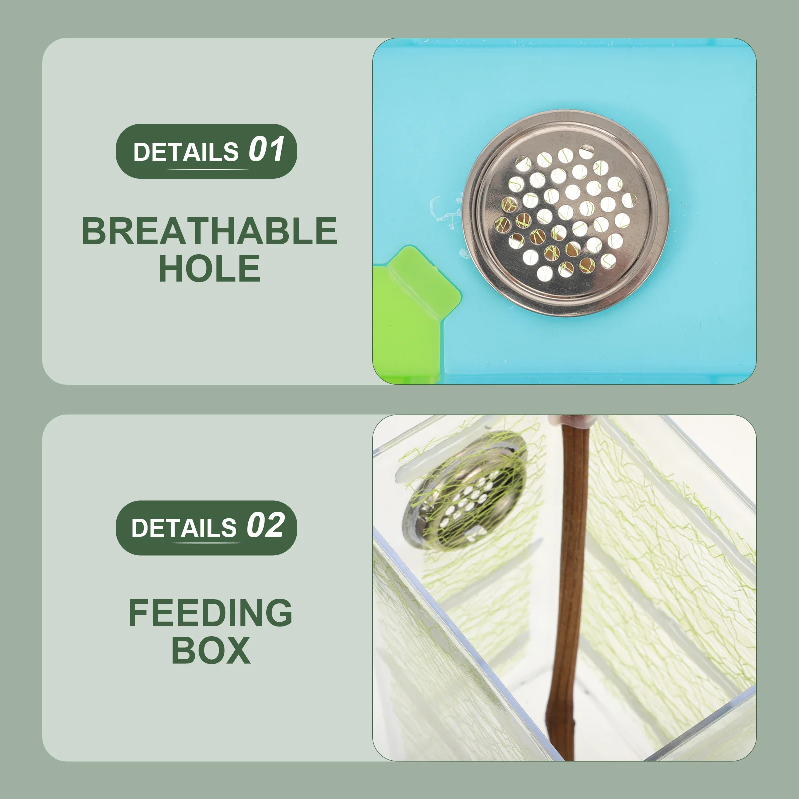 1Set Mantis Zucht Box Transparent Lebensraum Für Stick Insekten Starter Kit Reptil Terrarium Spinne Gehäuse Fütterung Container