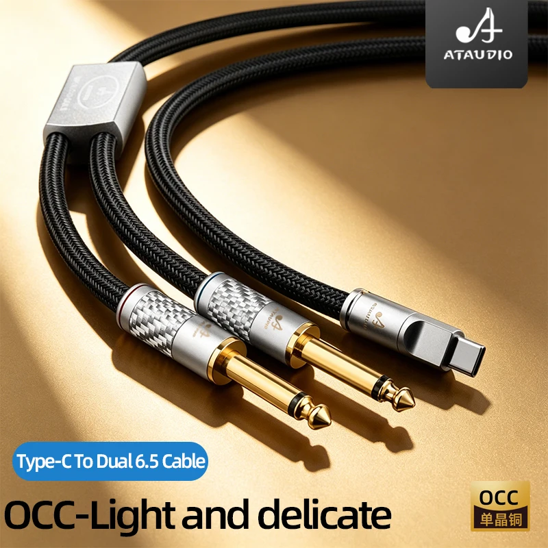 ATAUDIO HiFi USB Type C to Dual 6.5mm Mono Audio Y Splitter Cable OCC Core Gold Plated Plug for Phone Speaker