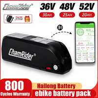 Original 48V Battery 48V 20AH  52V ebike Battery 36V Hailong Max 40A BMS 350W 500W 750W 1000W 1500W 21700 Cell BBS02 BBS03 BBSHD