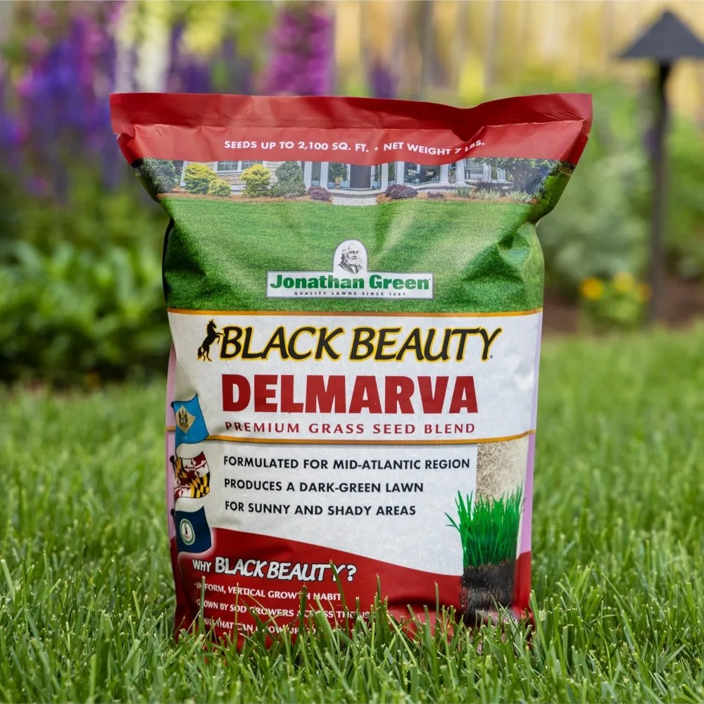 (10392) Black Beauty Delmarva Grass Seed (Made for Maryland, Delaware, Virginia) - Cool Season Lawn Seed (25 lb)