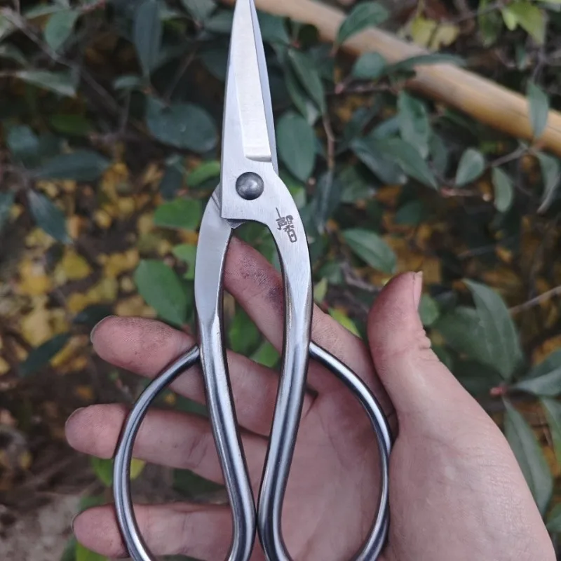 

Stainless Steel Pruning Shears Slender Branches Tender Leaves Potted Plant Pruning Scissors Household Portable Hand Tools