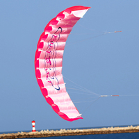 Dual Line Stunt Parafoil Parachute High Quality Flying Kites Professional Large 1.4m for Beach Outdoor Fun for Adults Children