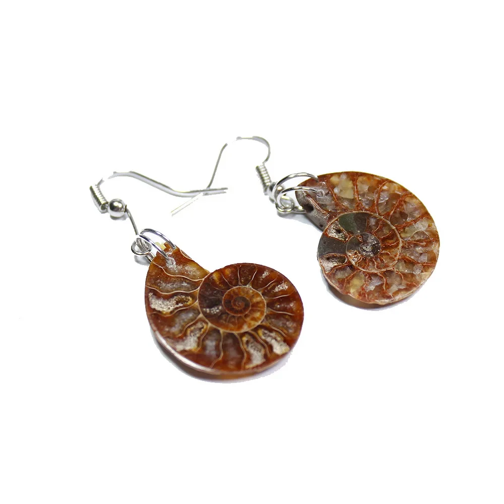 Opalized AMMONITE Crystal Statement Earrings for Woman Girl Fossil Dangle Healing Crystals Jewelry