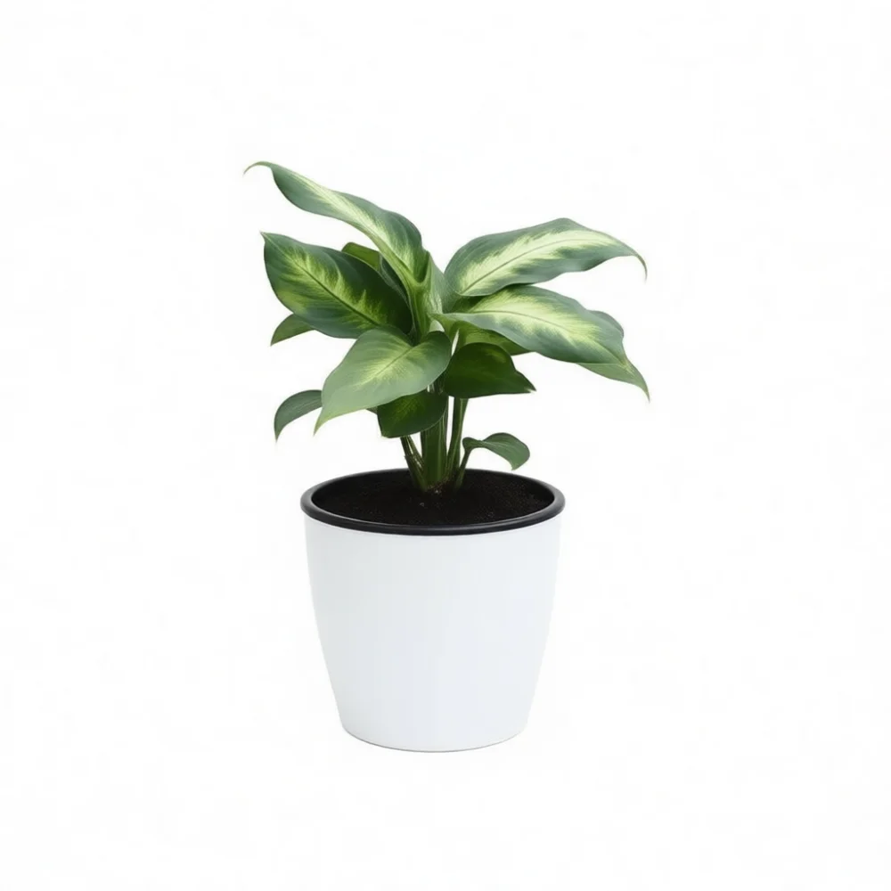 Automatic Absorption Planter Resin Flower Pot Self Watering Container Modern Office Home Decor Breathable Hydroponic Basin