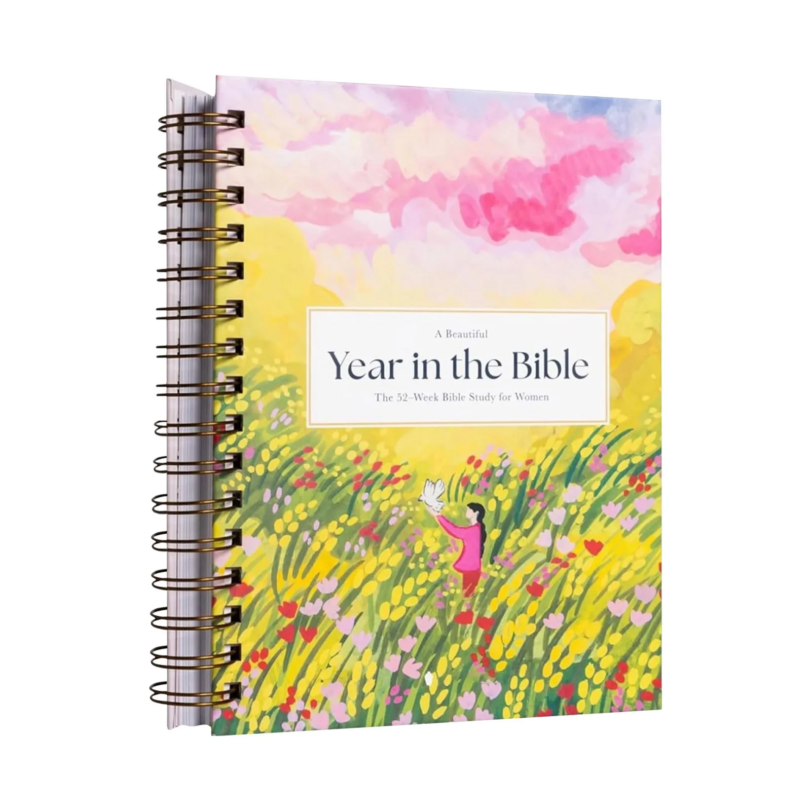 

2025 New Special Savings! Study For Women Let Us Purify Our Souls And Explore The Stories Of The