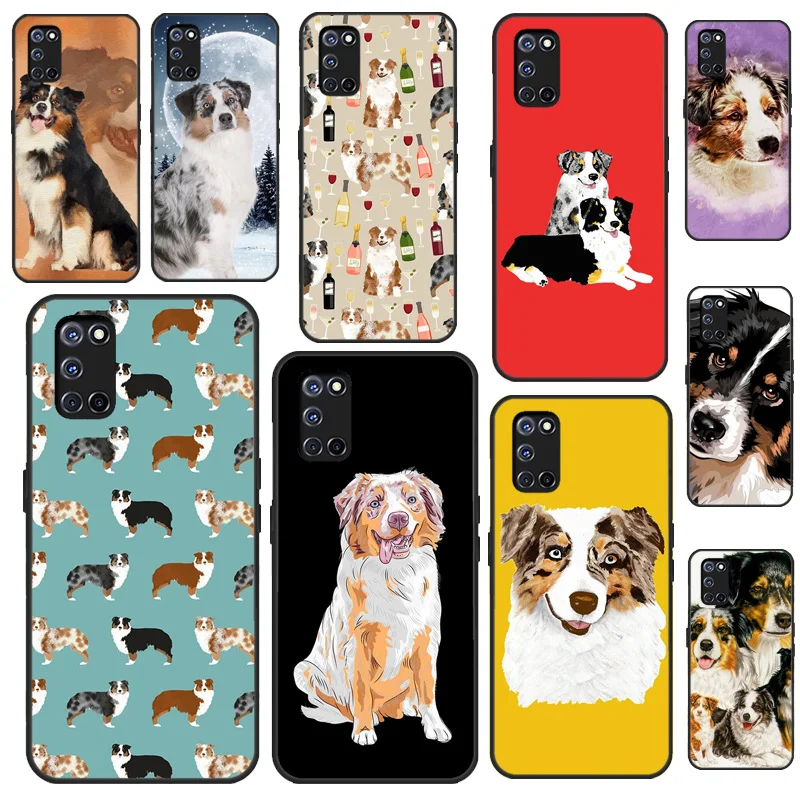 Australian Shepherd…