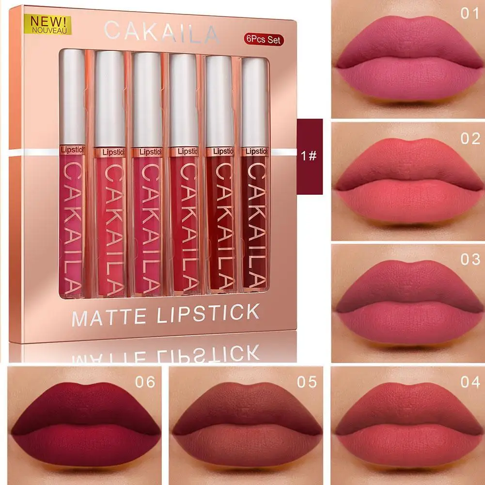 Liquid Velvet Matte Makeup Lipstick Set para mulheres, duradouro, impermeável, hidratante, brilho labial, sexy, nu, vermelho, 6pcs