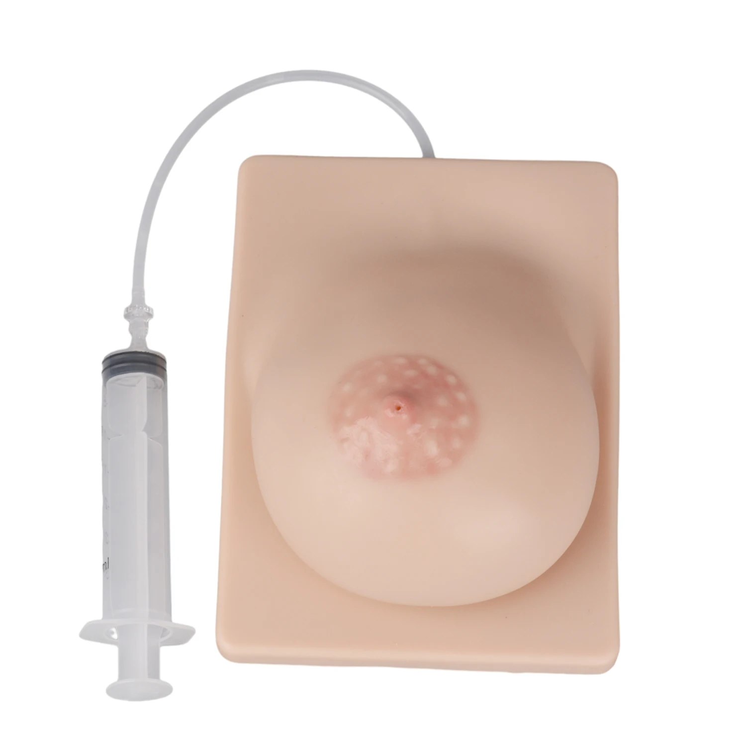 

Lactating Breast Educational Model for Healthcare Professionals and Midwives