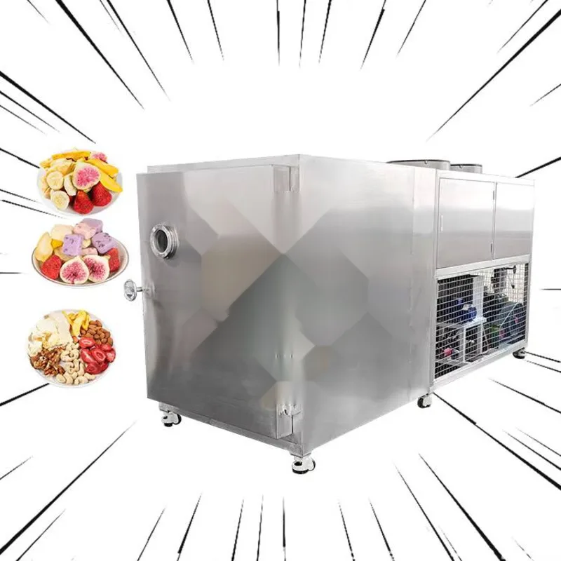 Рисунок 5 - Промышленная сублимационная сушилка для фруктов