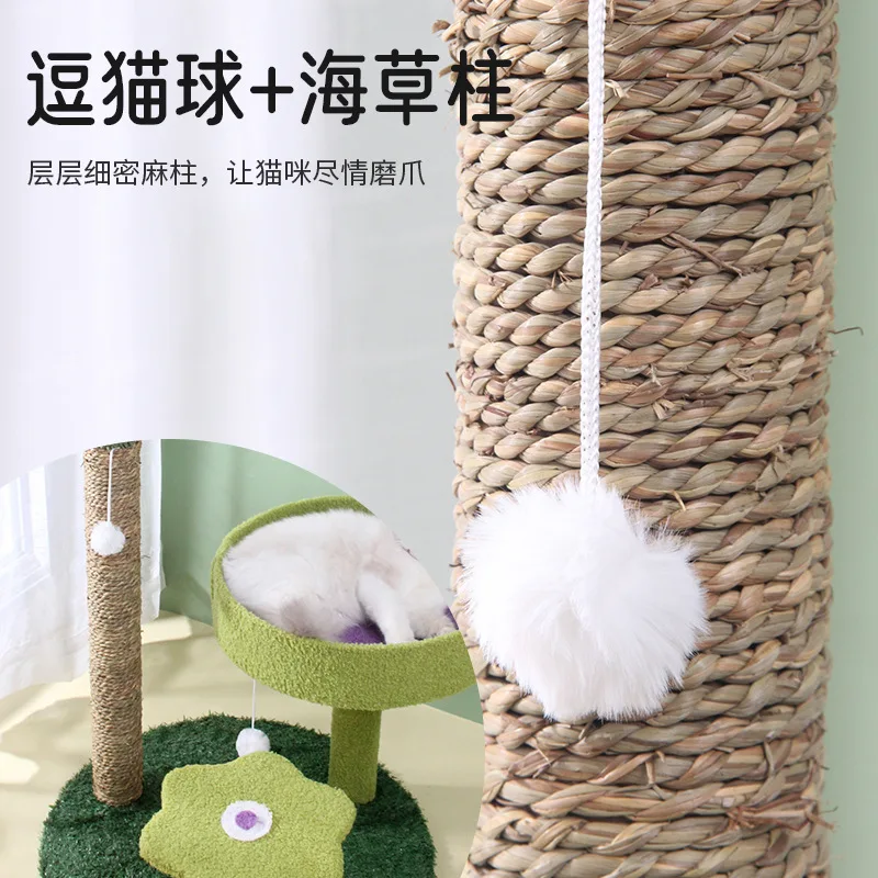 Cactus cat climbing frame