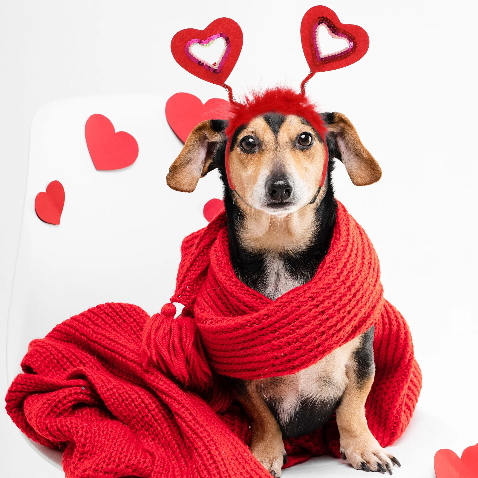 

2pcs Dog Hairband Heart Shaped Lightweight Durable Pet Party Accessories Hair Hoop Photo Props Pet Grooming Dog Accessories