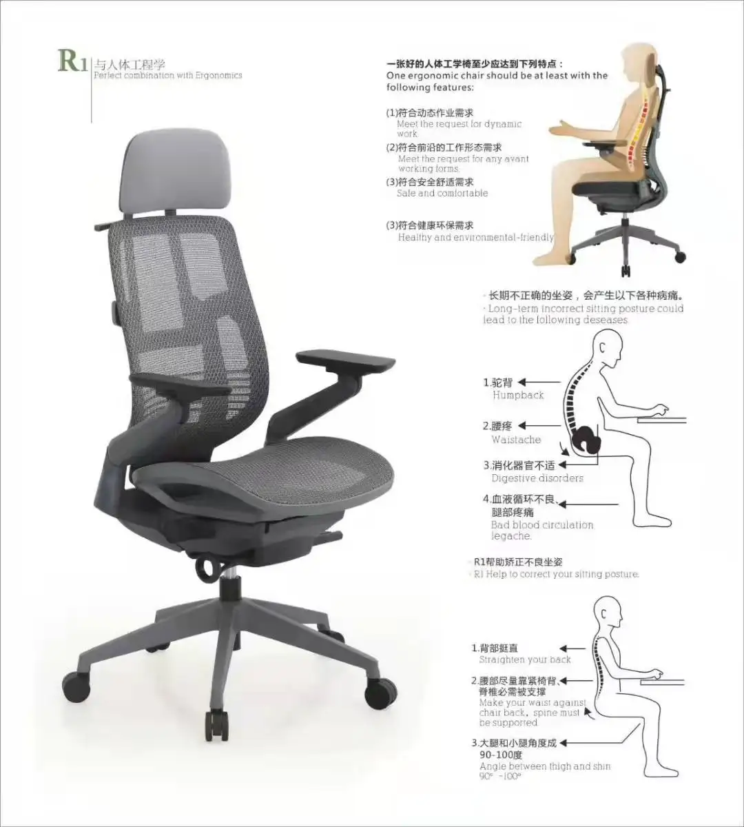 ZC02 ES Heißer Verkauf Mesh-Bürostühle Multifunktionsmechanismus mit ergonomischem Rückendesign Boss Bürostuhl Executive