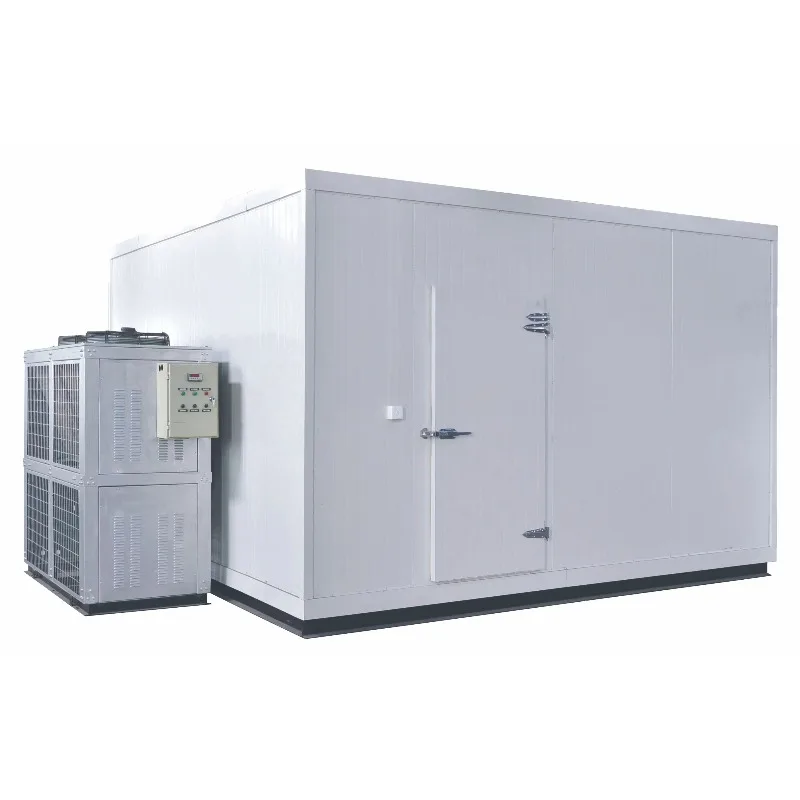 Quality Cold Room Storage Hot Selling Walk in Cold Room with Durable Materials for Efficient Cooling and Food Storage