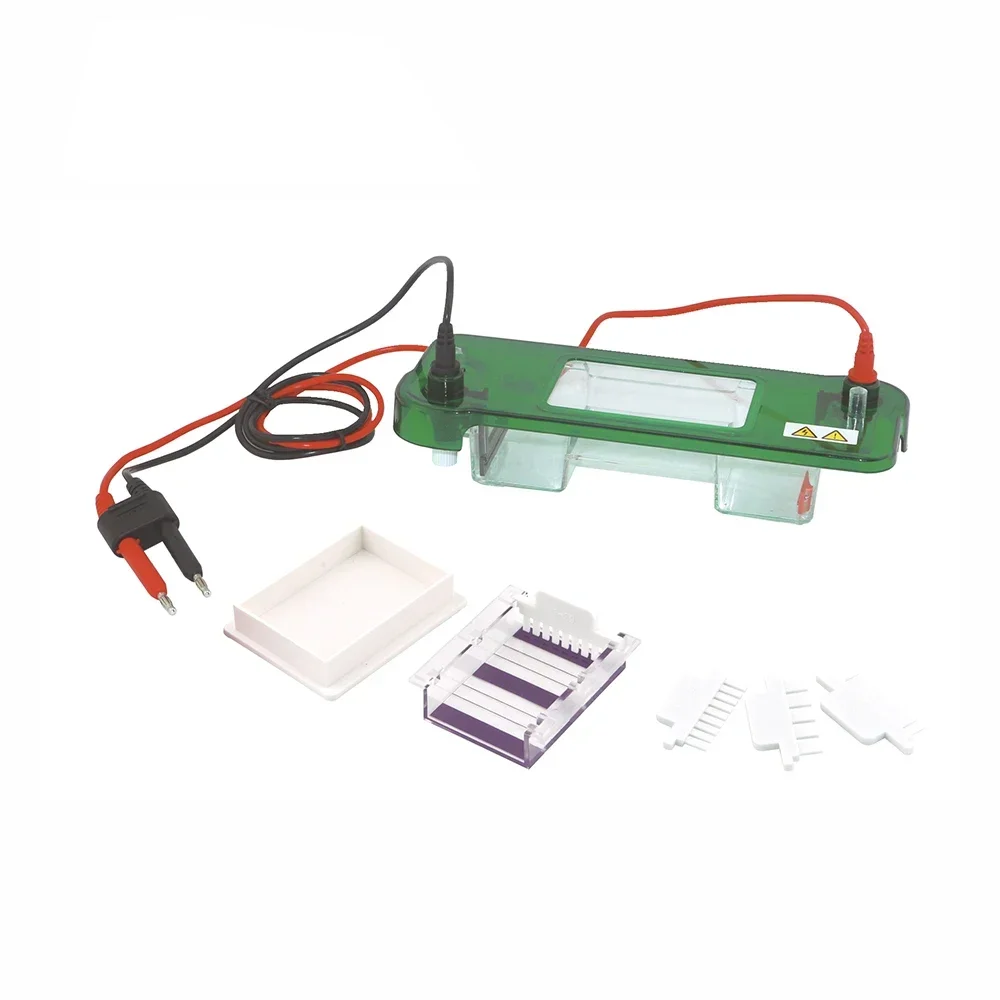 2026DW-SPAT Horizontal Vertical Electrophoresis System  Laboratory Apparatus Equipment Gel Machine Tank Electrophoresis