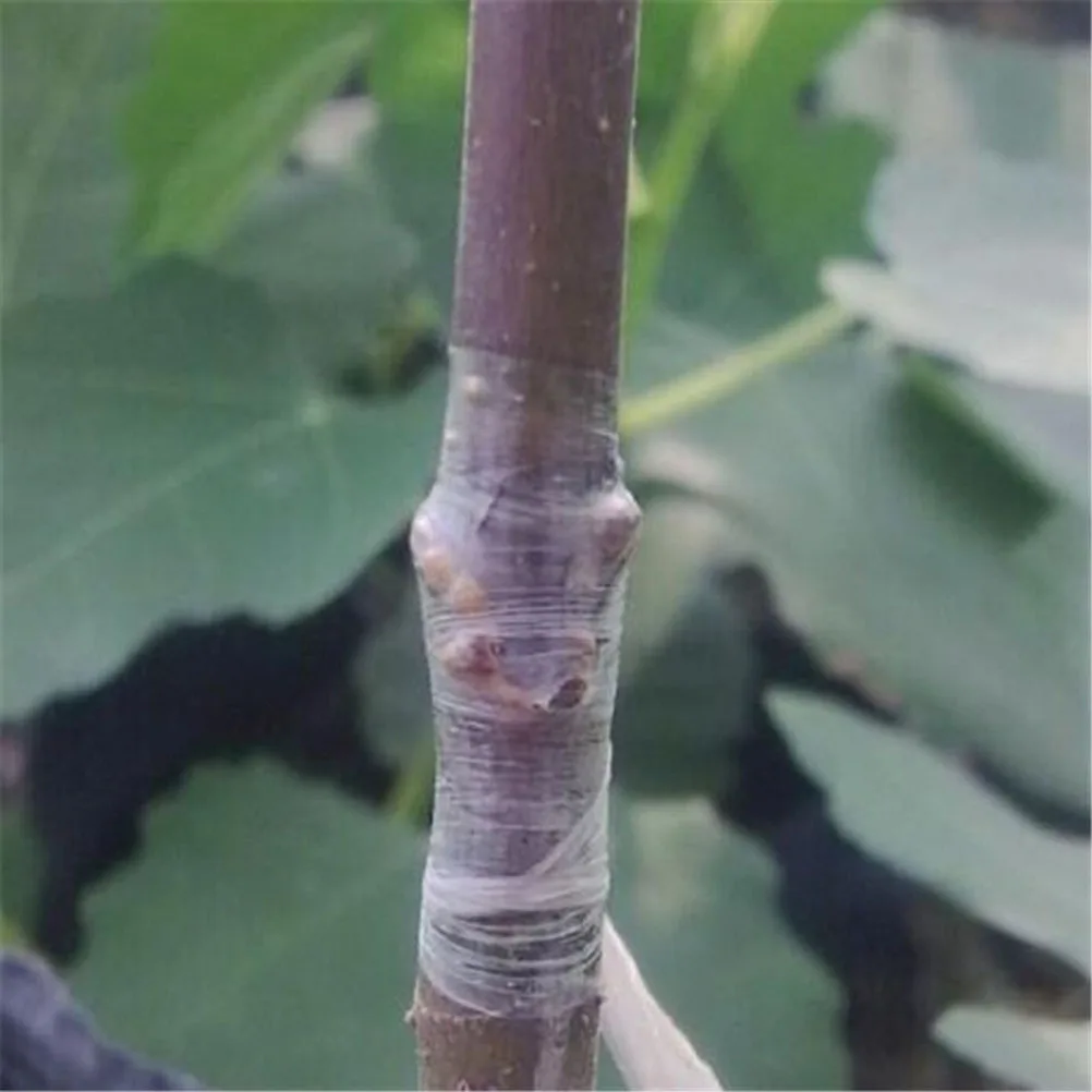 

6 Rolls White Grafting Tape Plant Repair Protective Film Durable PE Material Strong Stretch Suitable Fruit Trees Budding