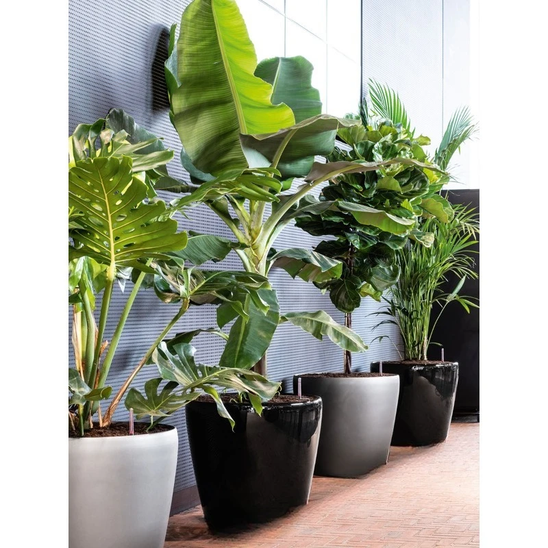 Automatic water absorption guest inside and outside floor round creative resin flower pot
