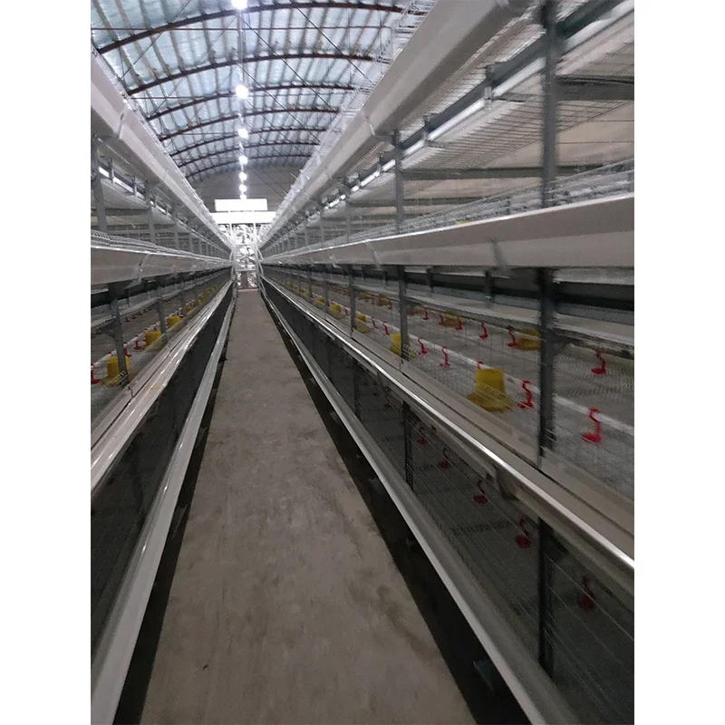 Hot Dip Galvanized Laying Hens 5000 Birds Frame Multi Tiers Egg Layer Chicken Cage