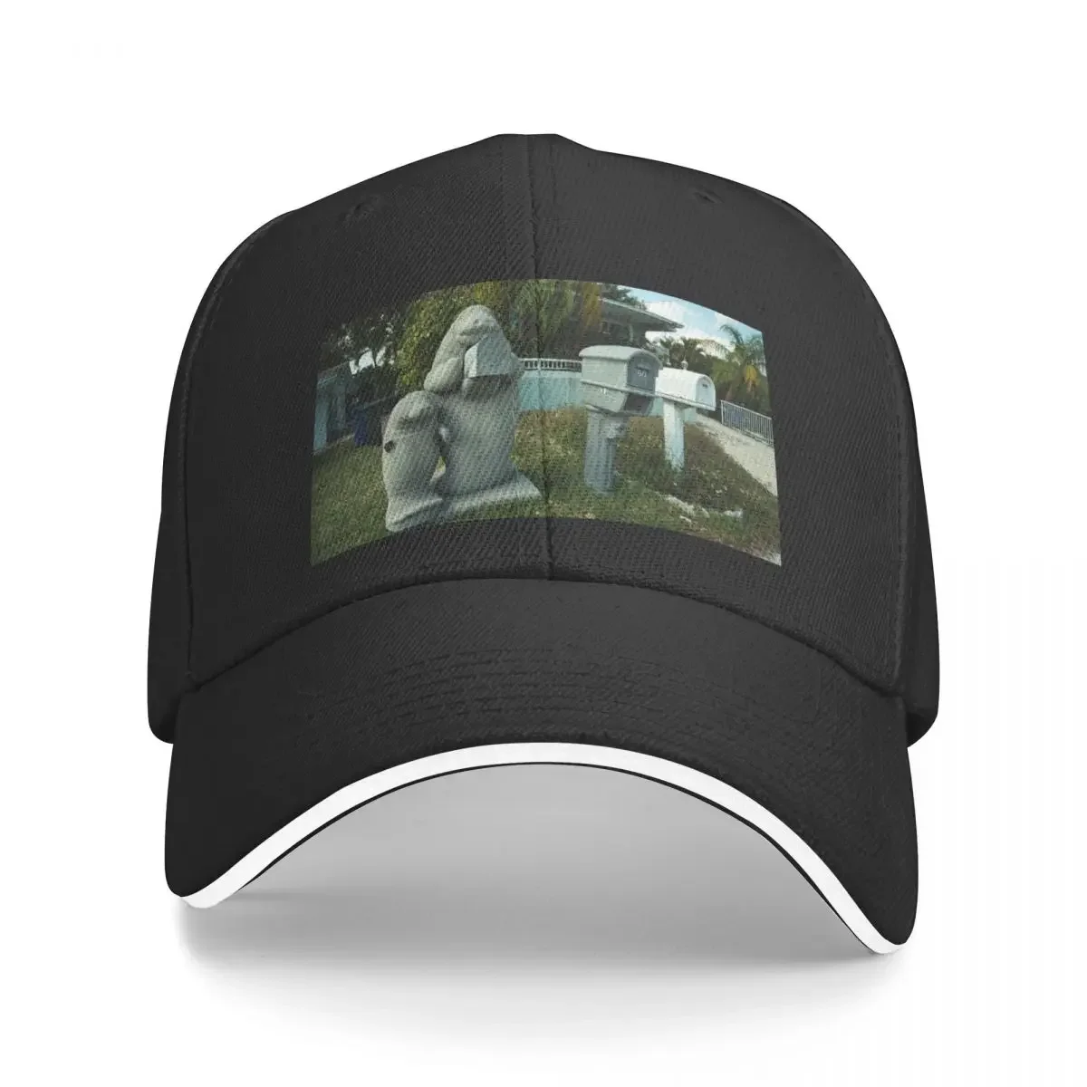 

Manatee MailboxCap Baseball Cap Cosplay Big Size Hat Custom Cap Luxury Brand Men's Caps Women's