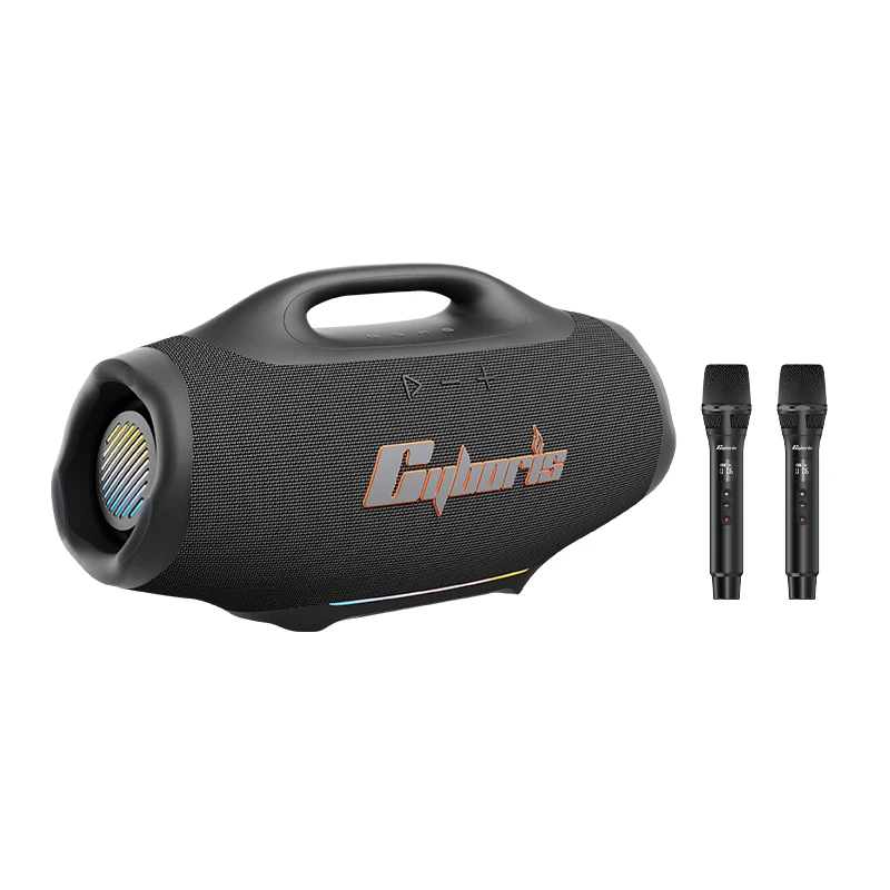 X22, 650W Wireless 3-Way HiFi 6.1 Channel Portable Wireless Speaker With Removable Battery, Karaoke Machine PA System With Mics