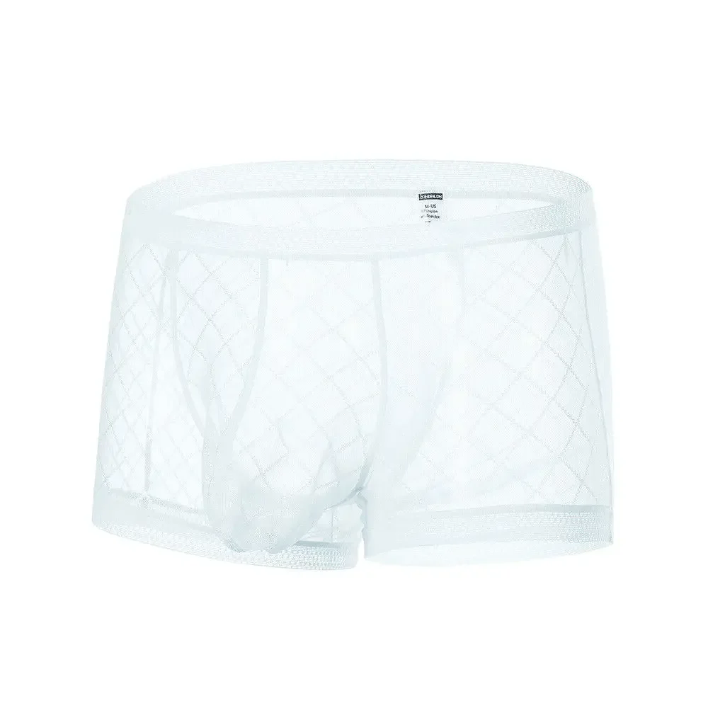 Jinshi Men's Sexy Underwear Briefs See Through Sheer Mesh Boxer Briefs with Pouch