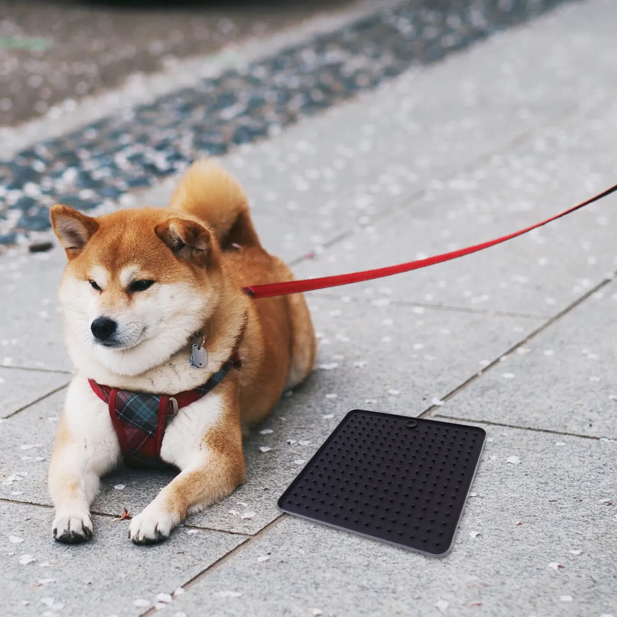 

Pet Feeding Licking Mat Silicone Cushion Black Food Feeder Creative Slow Eating Pad Puppy Dog Supplies Pet Feeder