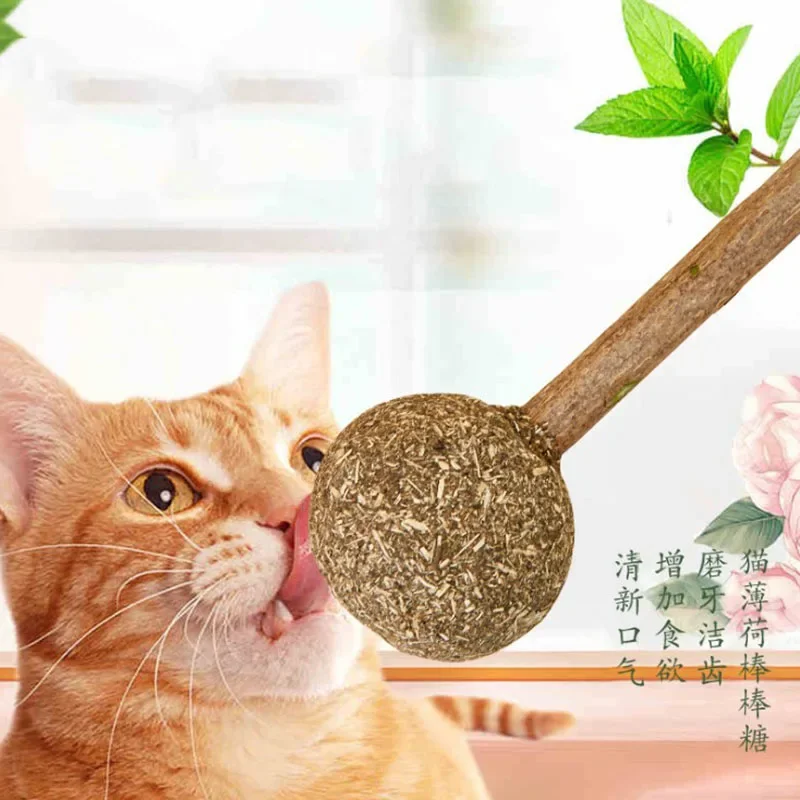 1pc Catnip Toys Funny Lollipops Cat Toy Ball Treats Interactive Kitten Toys