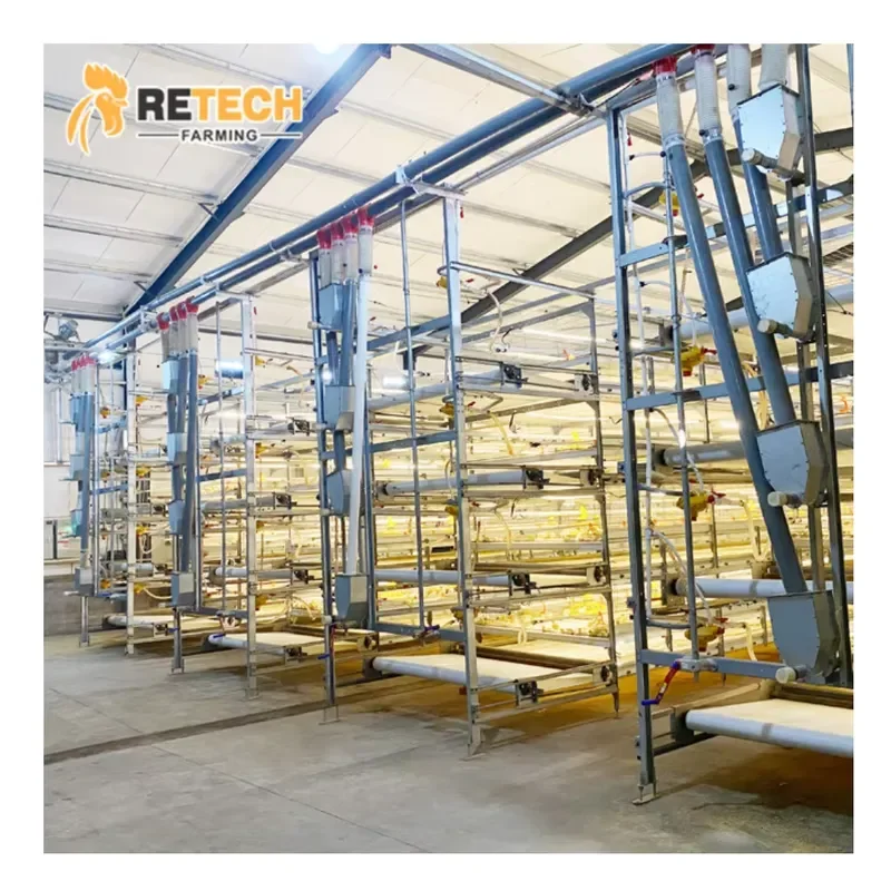

Automatic H-Type Chicken Cage Equipment Broiler Battery Chicken Cage for Sales