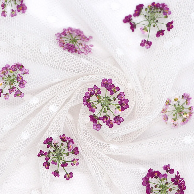 12 قطعة حزمة 1.5-2.5 سنتيمتر كرة الثلج ضغط الزهور المجففة DIY بها بنفسك اليدوية جراب هاتف صنع المجوهرات ملء الزهور المجففة الطبيعية الحقيقية