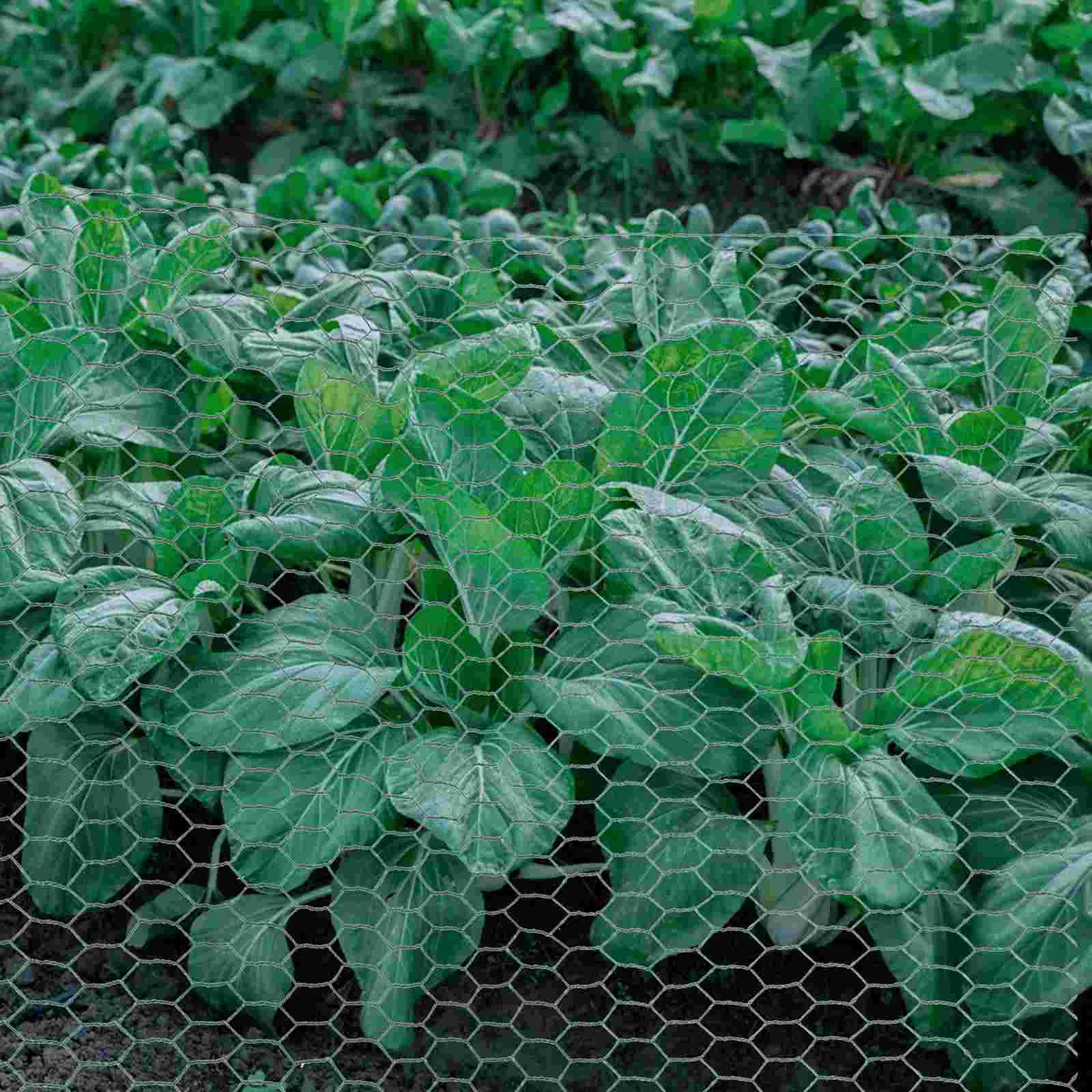 

Цветочная сетка для цветочного сада