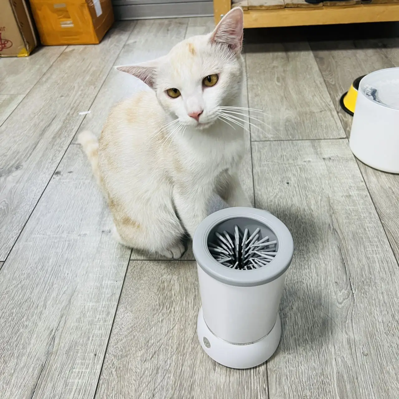 Automatic Pet Paw Cleaner Cup, Smart Dog Cat Foot Washer Machine, Portable Cleaning Tool for Pets Груминг Для Кошек