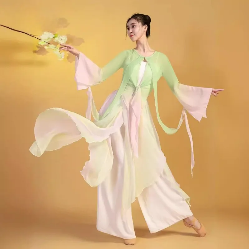 Classical Dance Clothes Female Body Rhyme Elegant Gradual Change Chiffon Gauze Clothes Chinese Dance Practice Clothes