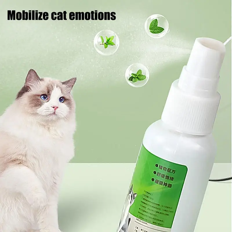Spray de hierba gatera para gatos, ingredientes saludables para gatitos, gatos y atrayentes, fácil de usar y seguro para mascotas, suministros para mascotas, 50ml
